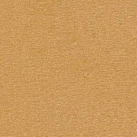 Ковролин Radici Nexus Biscotto 2407 фото 1 | FLOORDEALER